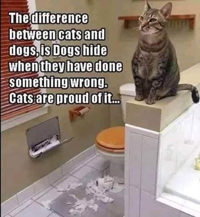 difference between cats and dogs ... 2