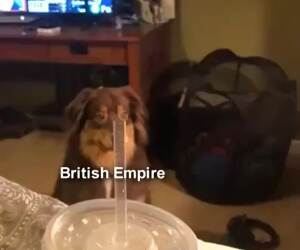 the british empire when they found tea