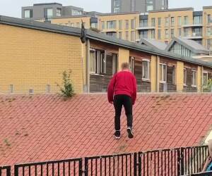 this guy does weird parkour