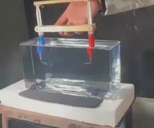 cool science experiment