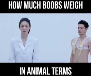 how much boobs weigh