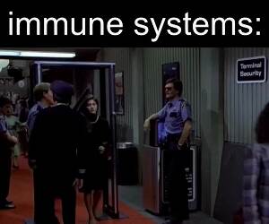 your immune system