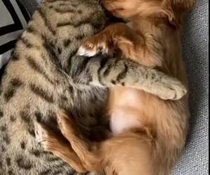 just cuddling a little