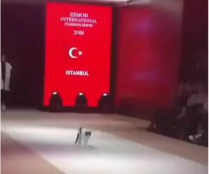 the real catwalk