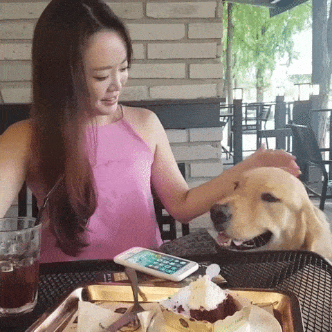 a-distraction-move.gif