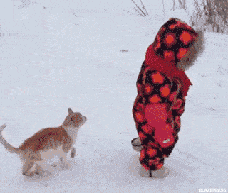a-good-tackle.gif