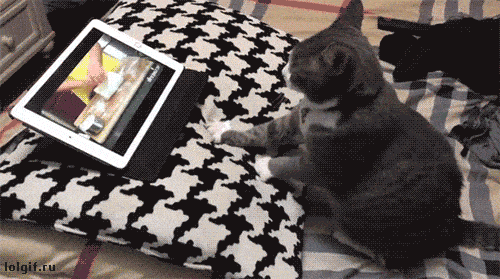 a-learning-video.gif