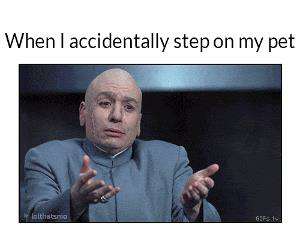 accidentally step on my pet