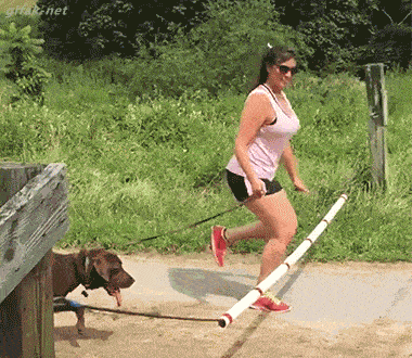 almost-made-the-jump672.gif
