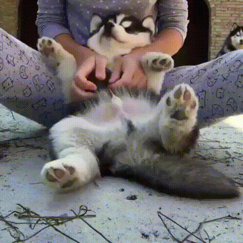 awwwww-yea.gif