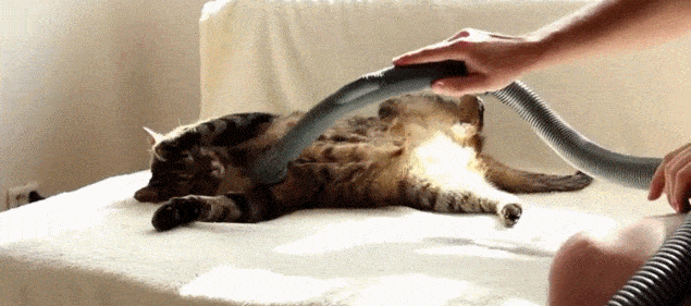 clean-me-up.gif
