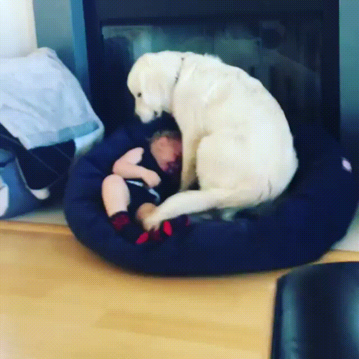 cmon-give-me-a-hug.gif
