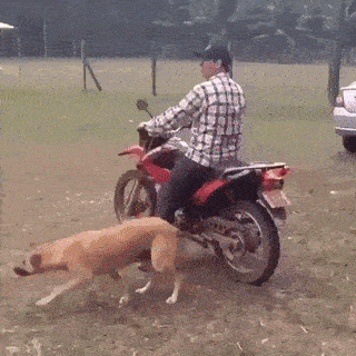 cmon-lets-go.gif
