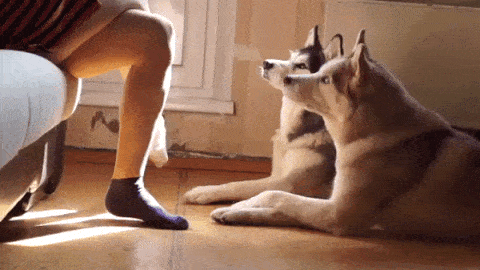 crossing-our-legs962.gif