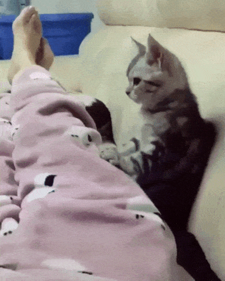 did-i-ask-you-to-stop.gif