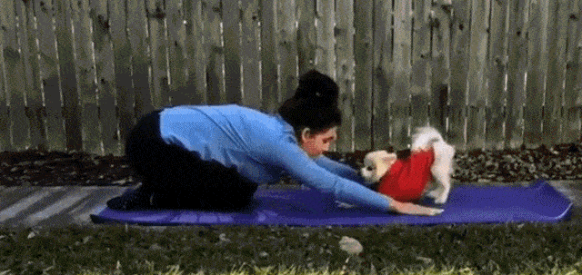 doing-some-yoga-together.gif
