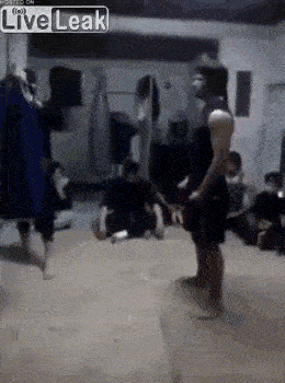 fabulous-fighting-skills.gif