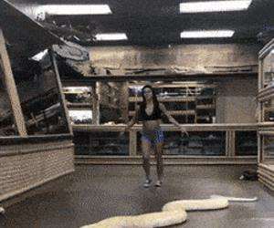 flipping around with my pet snake