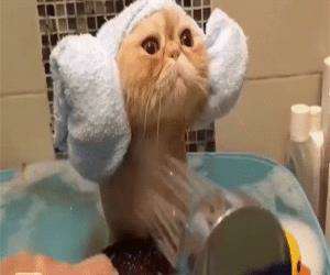 getting a wonderful bath