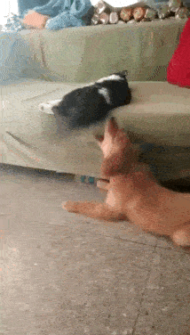 hahahaah-got-you.gif