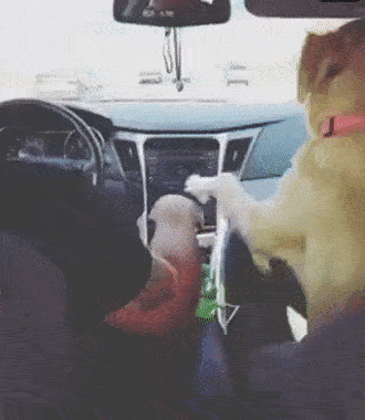 hold-my-hand-please44.gif