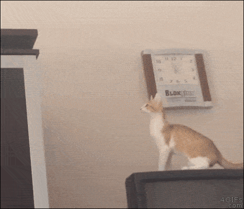 i-got-this-i-got-this.gif
