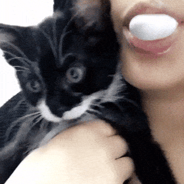 i-thought-i-told-you-no-bubbles.gif