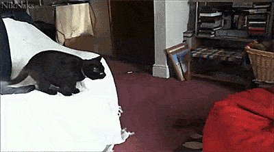 made-the-jump.gif