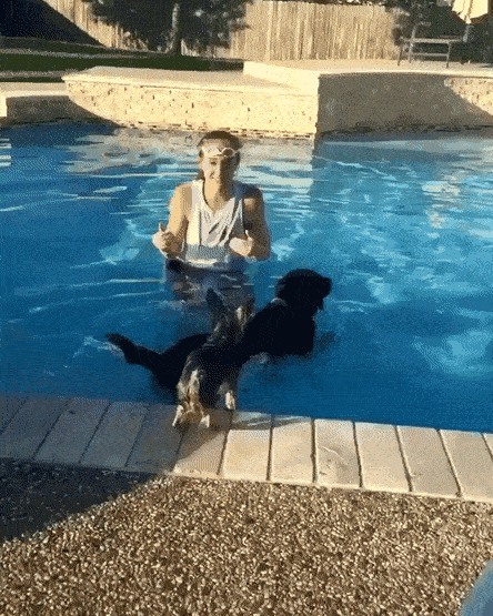 my-boat.gif
