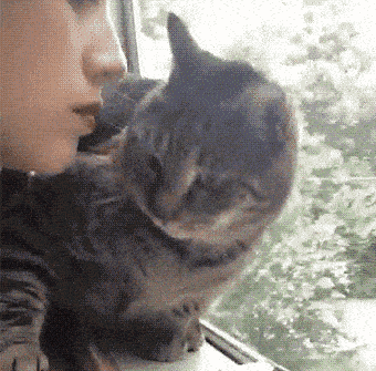 no-more-kisses-lady.gif