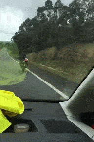 really-cruising.gif