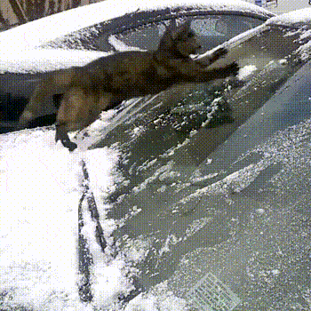 sliding-on-the-ice.gif