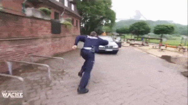 this-cop-is-not-messing-around.gif