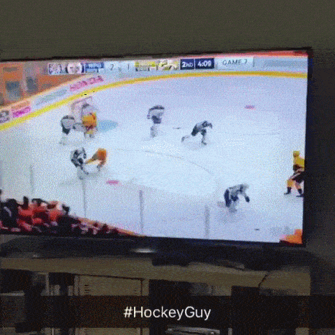 this-dog-really-loves-hockey.gif