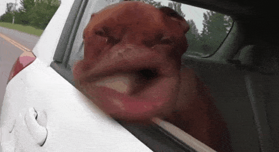 those-are-some-flappy-lips.gif