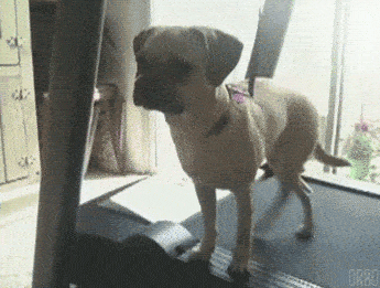 walking-sideways.gif