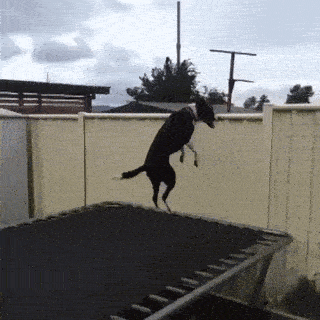 watching-it-all.gif