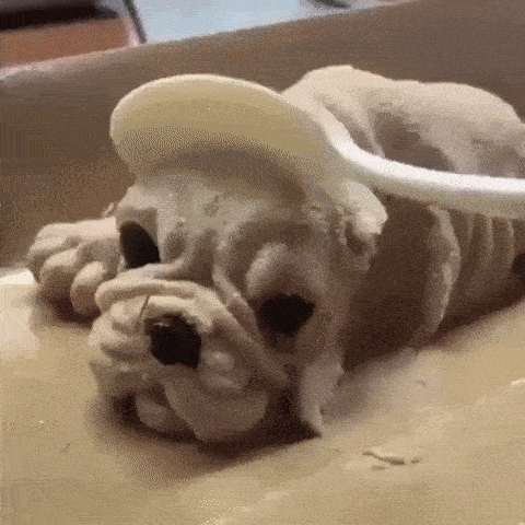 what-did-you-just-do.gif