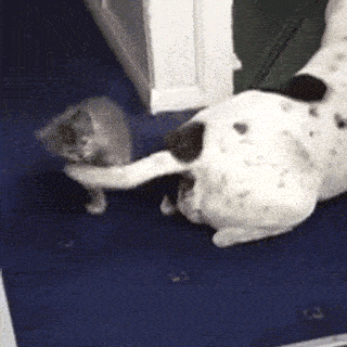 will-you-stop-that-thing.gif