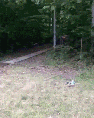 you-almost-had-it-there312.gif