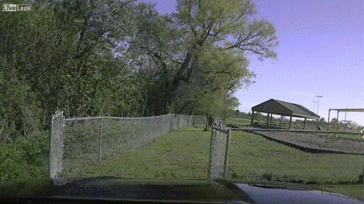 you-better-run.gif