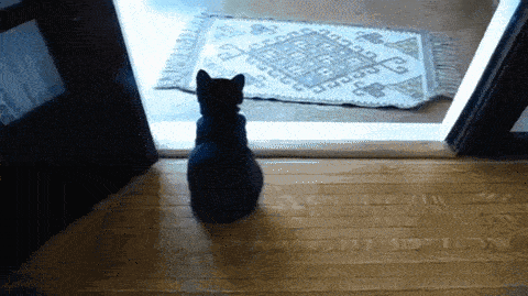 you-got-any-more-mail-in-there.gif