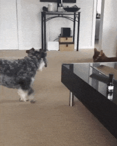 you-must-go-away-now.gif