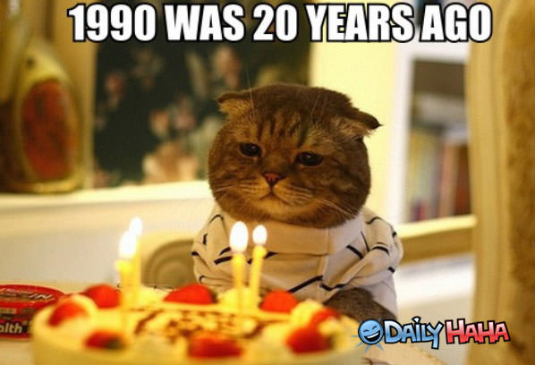 1990 Cat funny picture