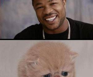 What Makes Xzibit Frown funny picture