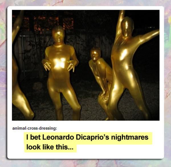 Leonardo DiCaprios Dream funny picture