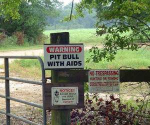 Pit Bull with AIDS sign