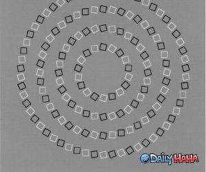 Can you see the round circles