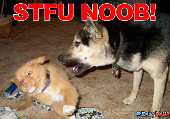 STFU NOOB