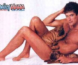 Sexy Hoff Picture
